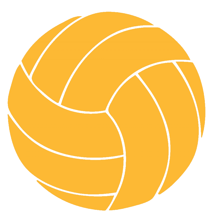 Volleyball Picks (Predictions & Tips)